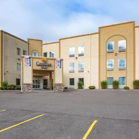 Comfort Inn Apalachin - Binghamton W Route 17 Ngoại thất bức ảnh