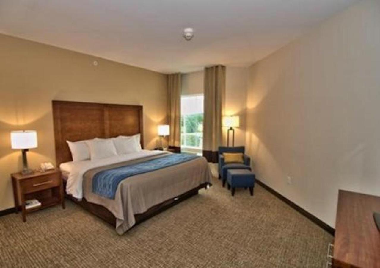 Comfort Inn Apalachin - Binghamton W Route 17 Ngoại thất bức ảnh