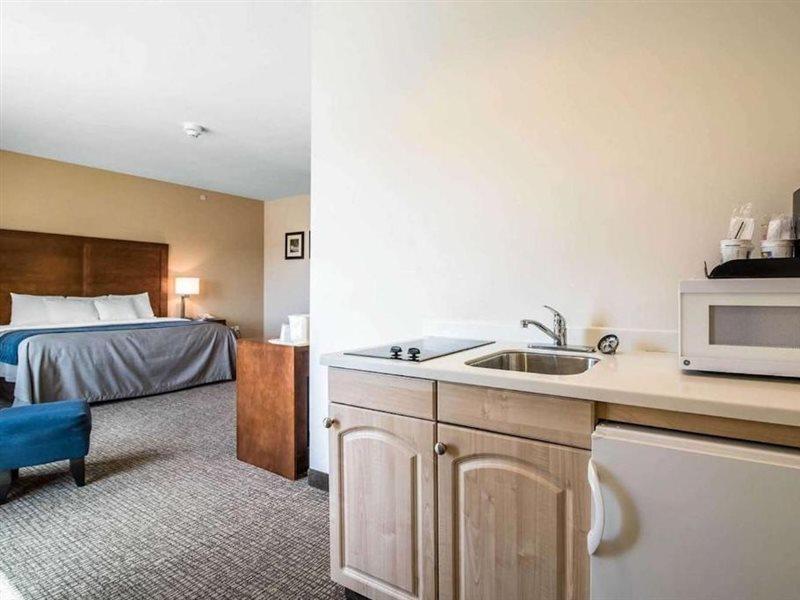 Comfort Inn Apalachin - Binghamton W Route 17 Ngoại thất bức ảnh