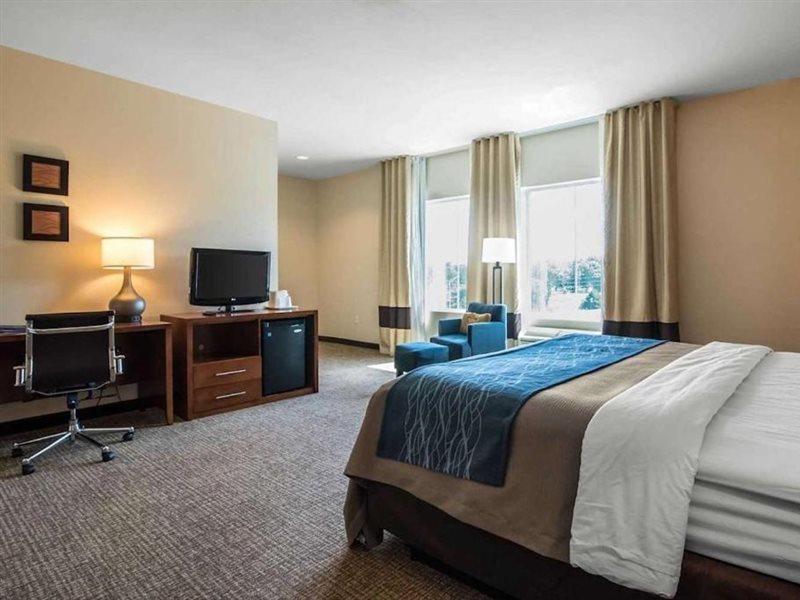 Comfort Inn Apalachin - Binghamton W Route 17 Ngoại thất bức ảnh