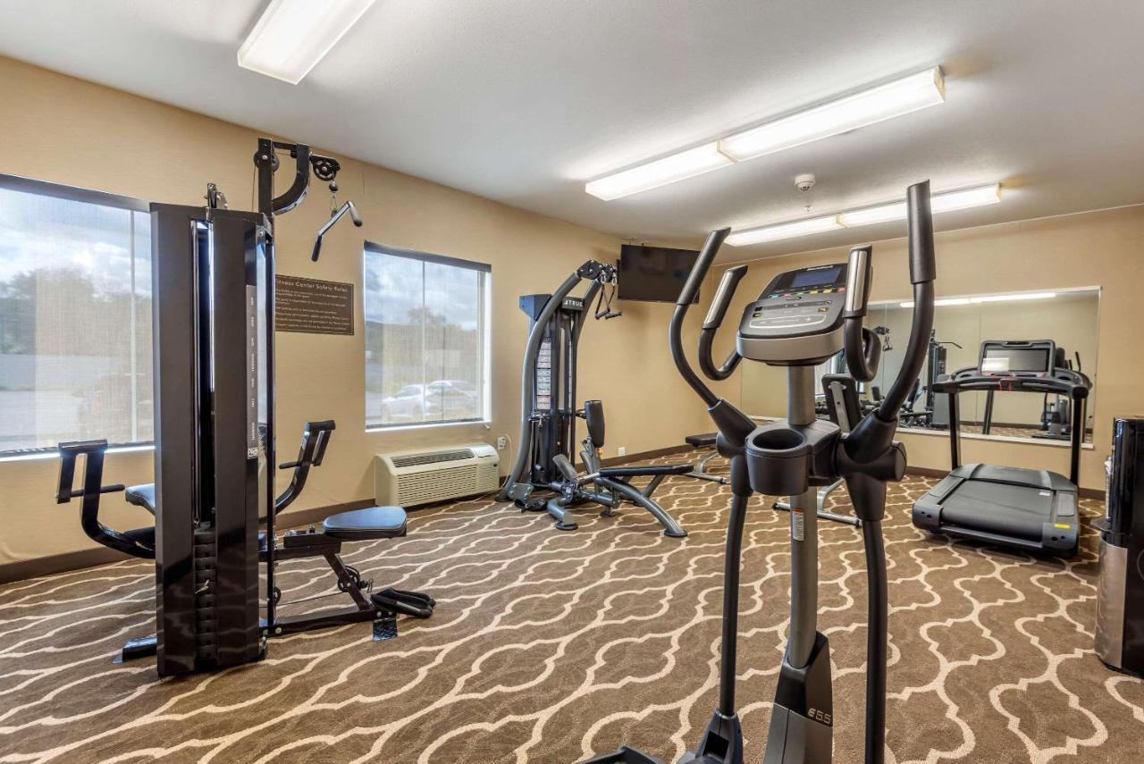 Comfort Inn Apalachin - Binghamton W Route 17 Ngoại thất bức ảnh