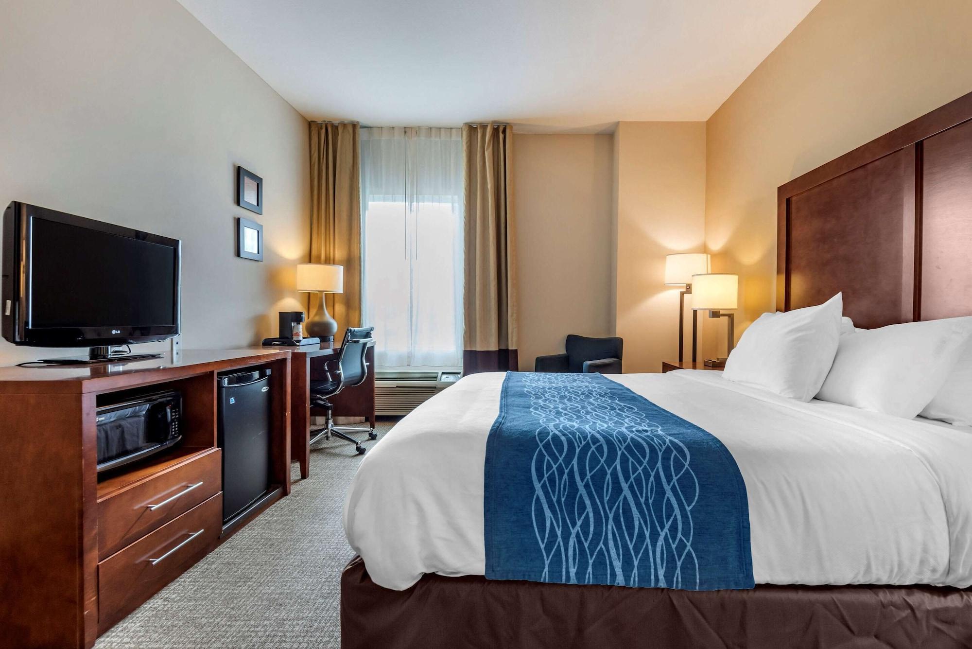 Comfort Inn Apalachin - Binghamton W Route 17 Ngoại thất bức ảnh