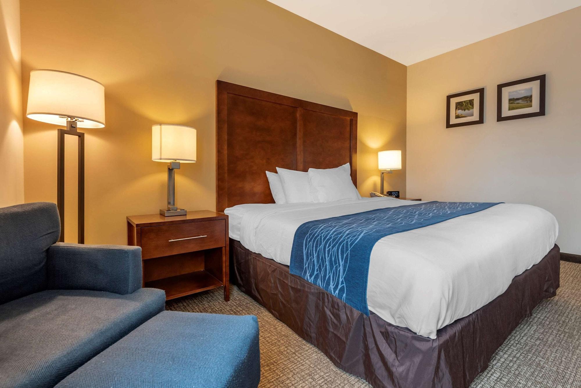 Comfort Inn Apalachin - Binghamton W Route 17 Ngoại thất bức ảnh
