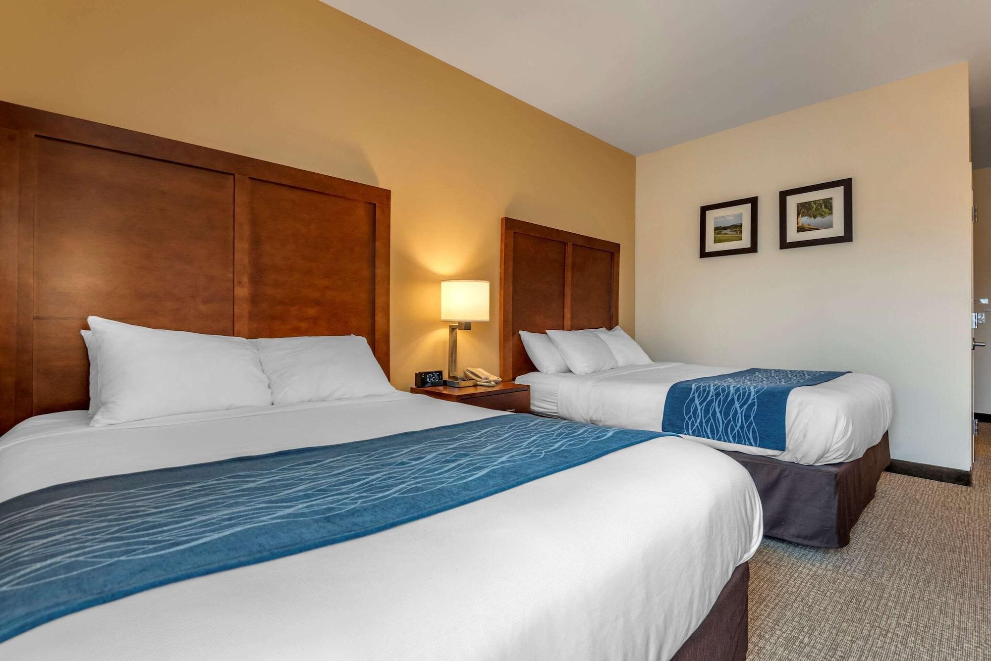 Comfort Inn Apalachin - Binghamton W Route 17 Ngoại thất bức ảnh