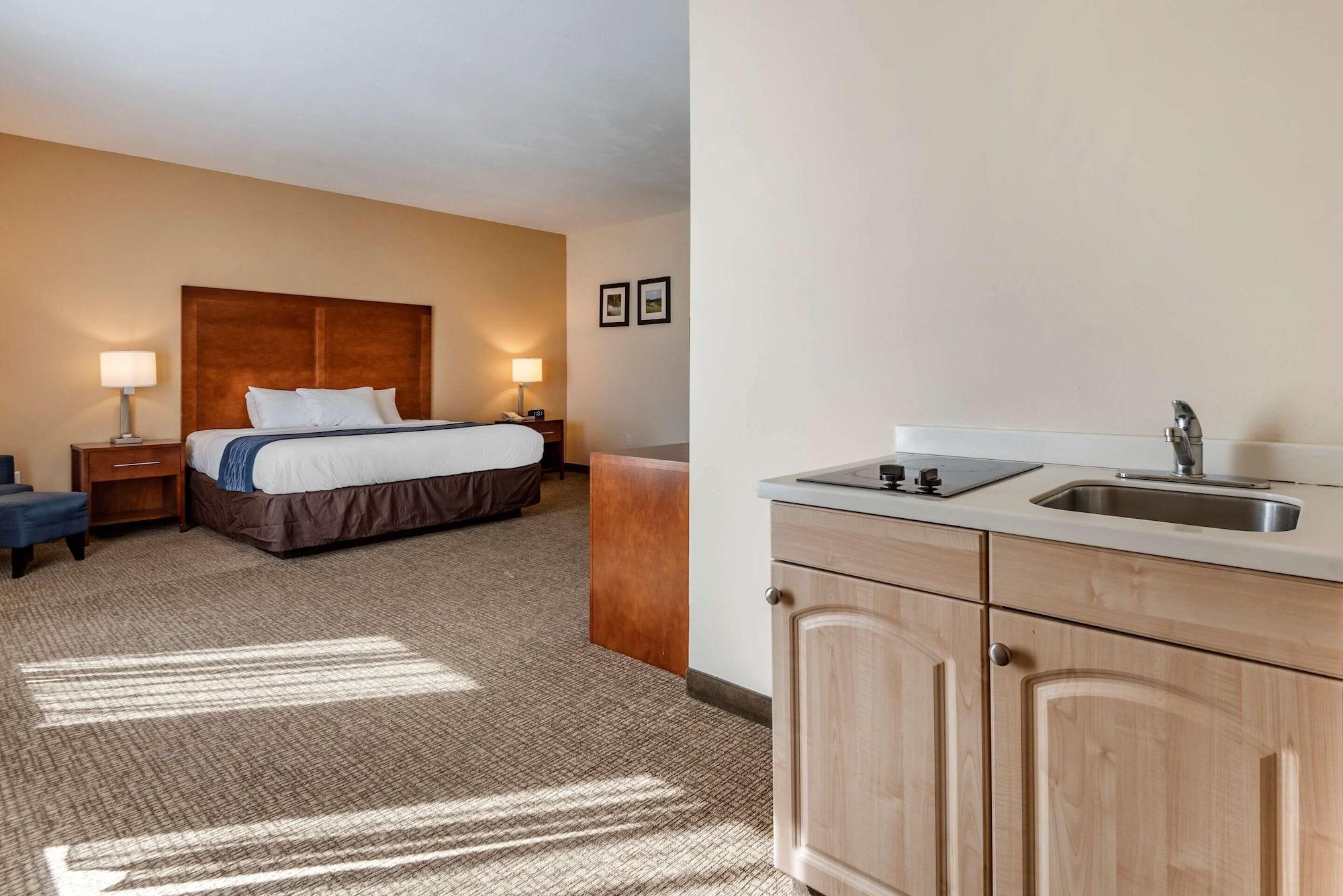Comfort Inn Apalachin - Binghamton W Route 17 Ngoại thất bức ảnh