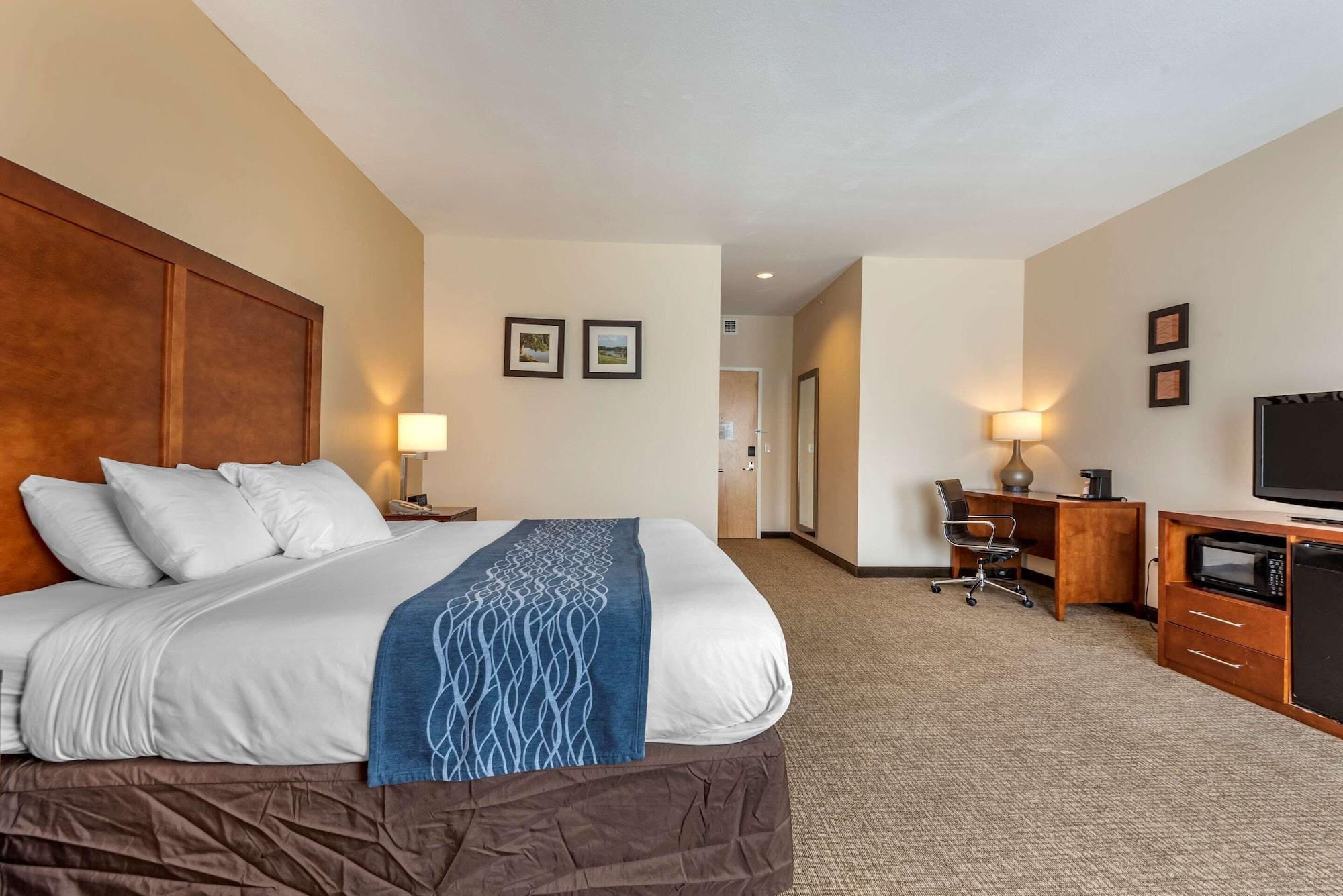 Comfort Inn Apalachin - Binghamton W Route 17 Ngoại thất bức ảnh