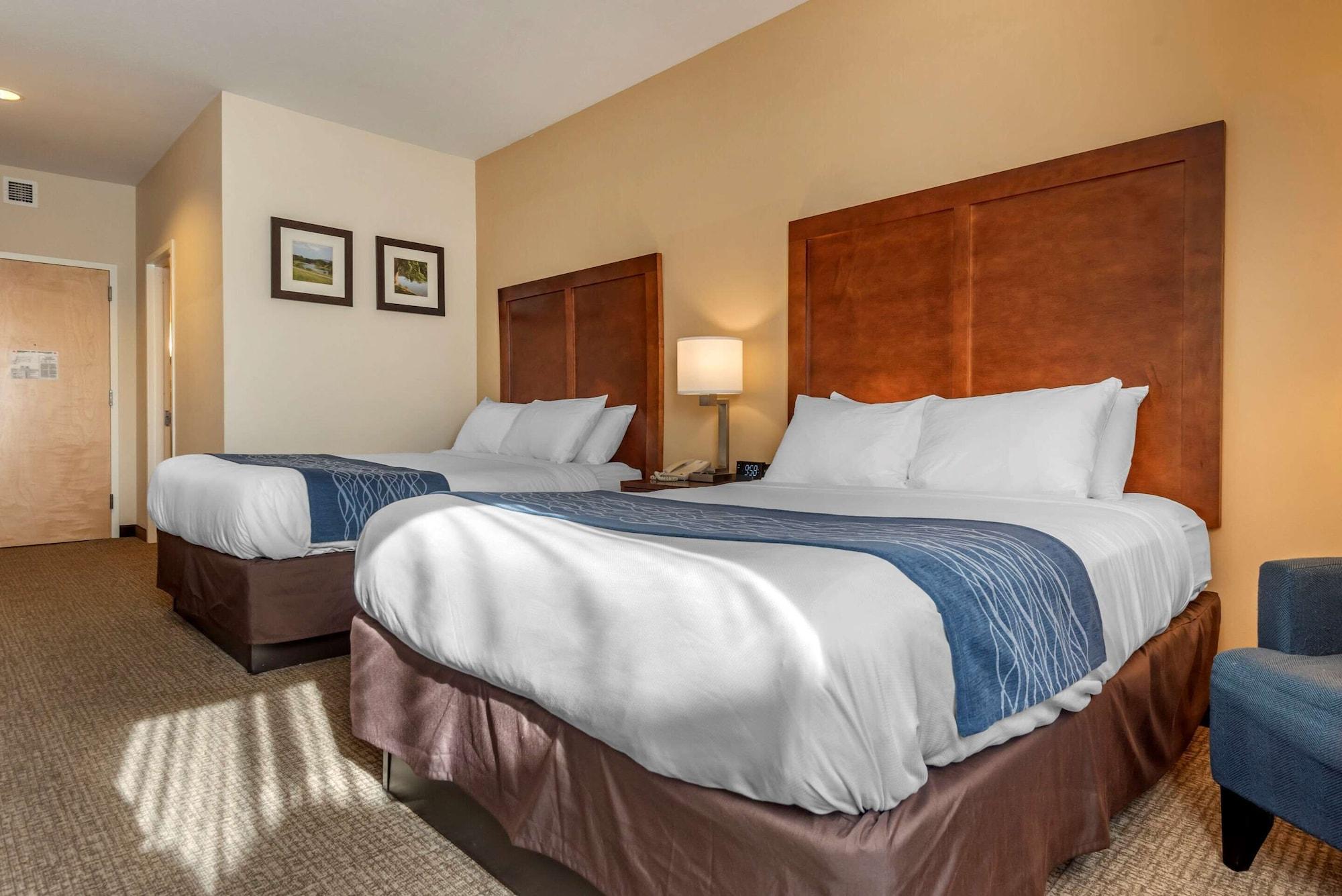 Comfort Inn Apalachin - Binghamton W Route 17 Ngoại thất bức ảnh
