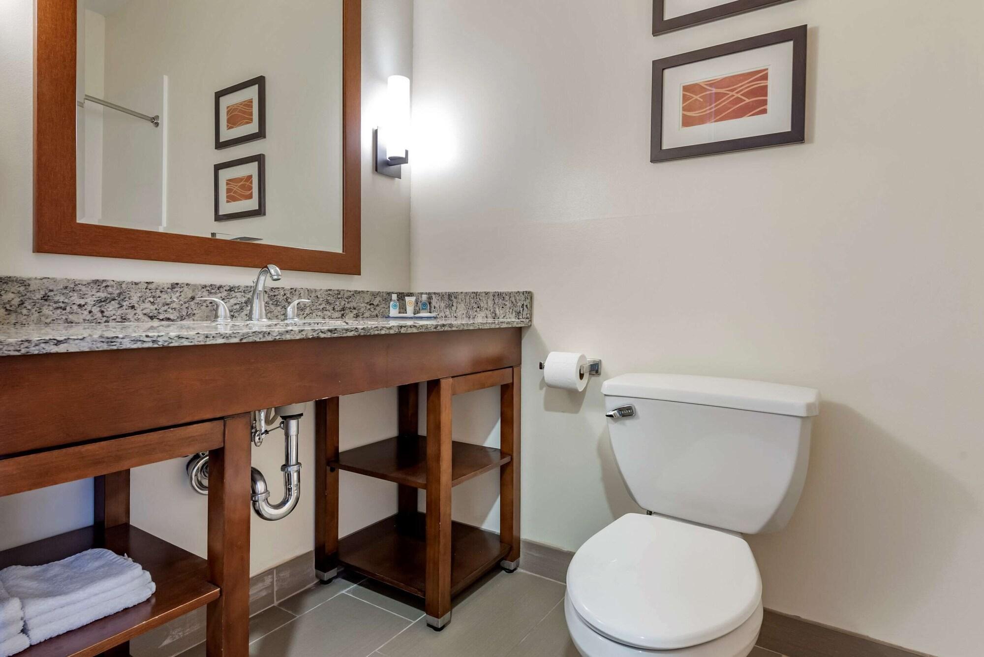 Comfort Inn Apalachin - Binghamton W Route 17 Ngoại thất bức ảnh