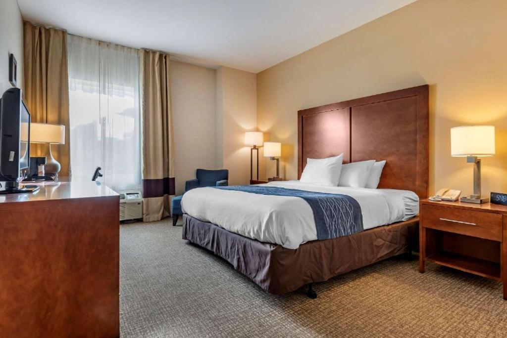 Comfort Inn Apalachin - Binghamton W Route 17 Ngoại thất bức ảnh