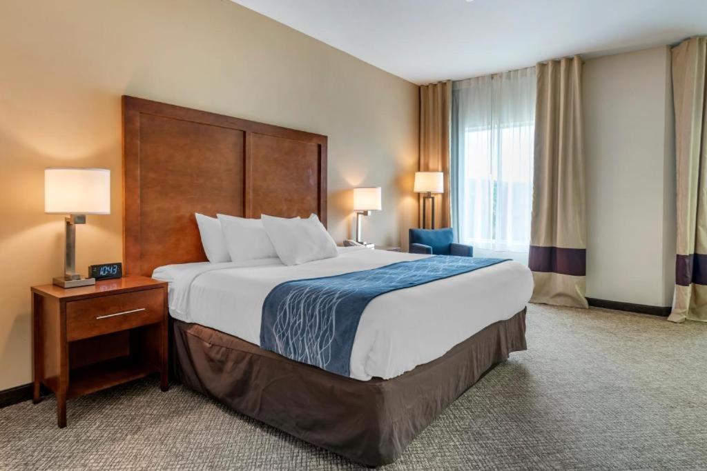 Comfort Inn Apalachin - Binghamton W Route 17 Ngoại thất bức ảnh