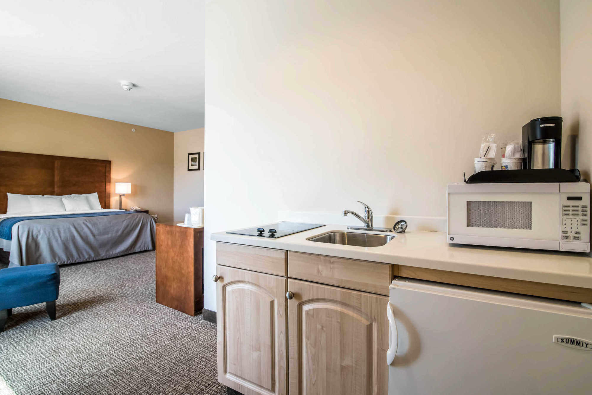 Comfort Inn Apalachin - Binghamton W Route 17 Phòng bức ảnh